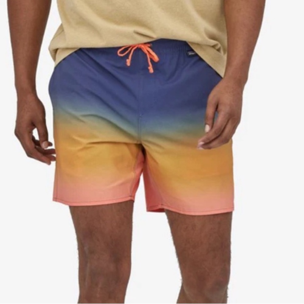 Patagonia Men's‎ Hydropeak Volley Shorts 16” outseam size small